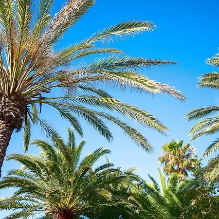 Casa Monroe Op Oasis Tamarindo 1