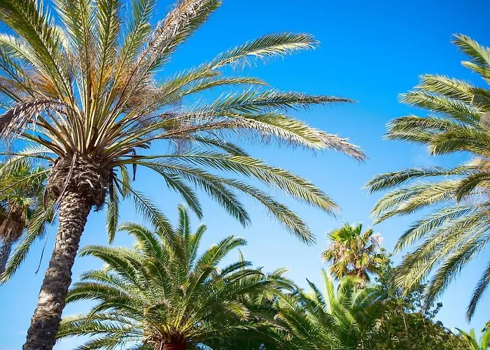 Casa Monroe Op Oasis Tamarindo 1